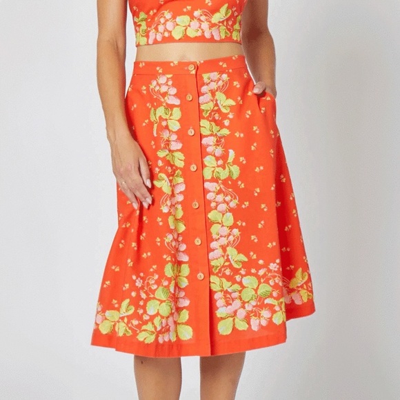 Rachel Antonoff Dresses & Skirts - Rachel Antonoff Tali Skirt Strawberries Border Berries NWOT